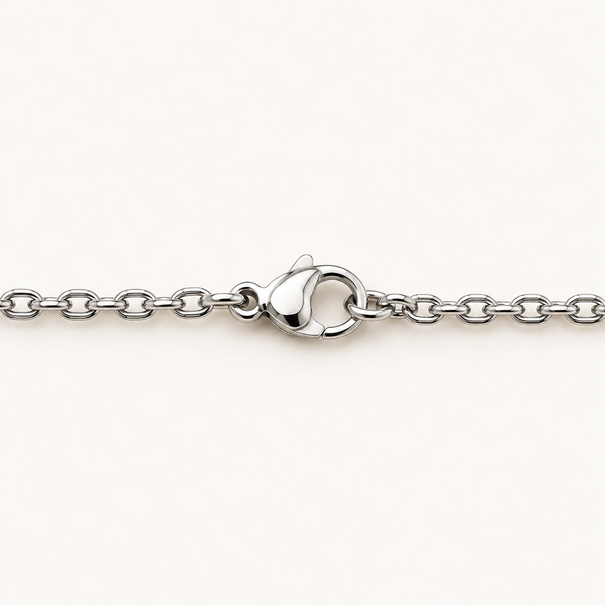 Paw Print Coin Necklace